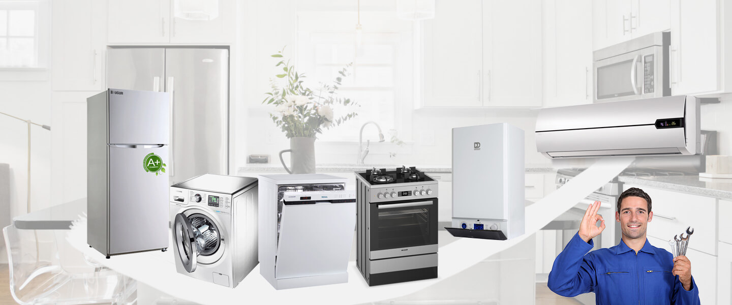 Hanönü Electrolux Servisi